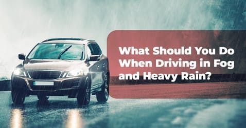 What Should You Do When Driving in Rain and Fog? Thumbnail
