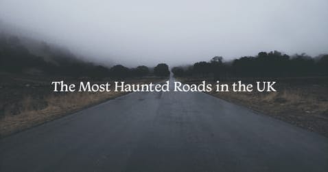 The article title over a haunted road lined with trees, with a layer of fog surrounding.
