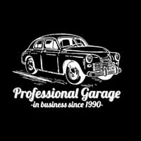 PROFESSIONAL GARAGE Logo