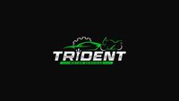 Trident Motor Services Ltd Logo