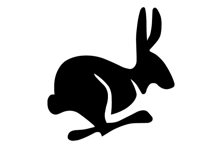 Hares Servicing and Repairs Logo